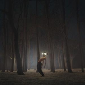 Geese / Projector (アナログレコード)  〔LP〕