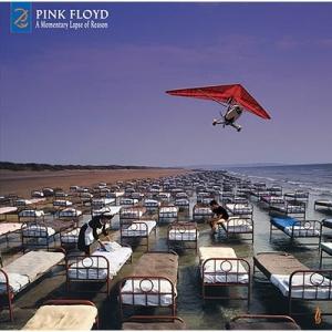 Pink Floyd ピンクフロイド / Momentary Lapse Of Reason:  鬱...