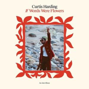 Curtis Harding / If Words Were Flowers 輸入盤 〔CD〕