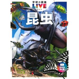 昆虫 新版 DVDつき 学研の図鑑LIVE / 丸山宗利  〔図鑑〕