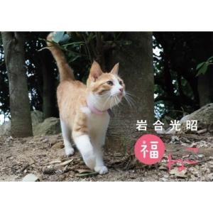 岩合光昭 福ねこカレンダー 2023 / 岩合光昭  〔ムック〕