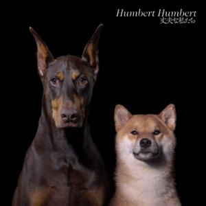 Humbert Humbert ハンバートハンバート / 丈夫な私たち  〔CD〕
