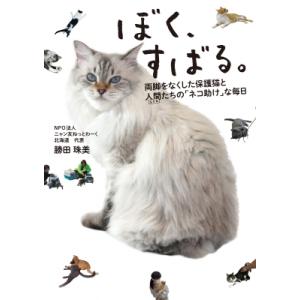 保護猫 札幌市