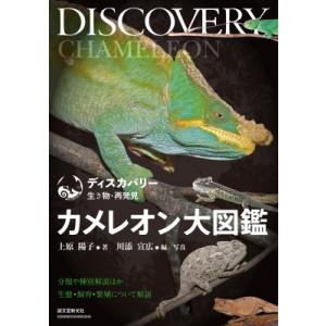 カメレオン大図鑑 分類や種別解説ほか生態・飼育・繁殖について解説 ディスカバリー生き物・再発見 / ...