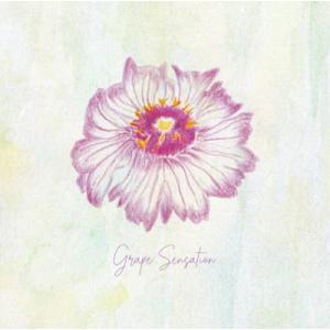 グレープ Grape / グレープセンセーション  〔CD〕