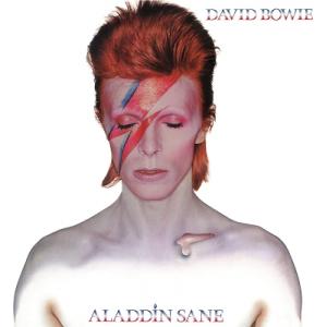 David Bowie デヴィッドボウイ / Aladdin Sane (ピクチャーディスク仕様 /...
