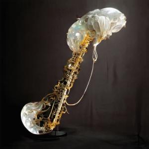 Sam Gendel / Cookup (アナログレコード) 〔LP〕