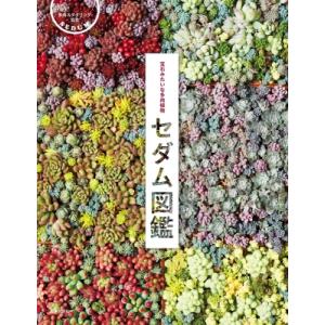 セダム図鑑 宝石の多肉植物の買取情報