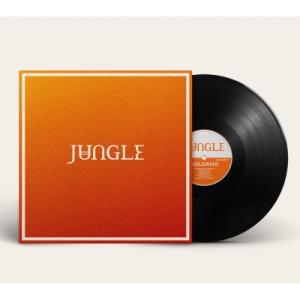 Jungle / Volcano（アナログレコード） 〔LP〕