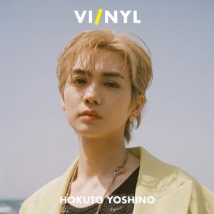 VI / NYL（バイ＆ナル）#011 HOKUTO YOSHINO / VI/NYL  〔本〕
