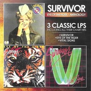 Survivor サバイバー / 3 Classic LPs Including All Their...