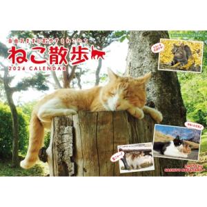 2024 中山祥代ねこ散歩カレンダー / 中山祥代  〔ムック〕｜hmv