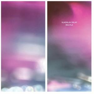 Vladislav Delay ウラディスラフディレイ / Multila (2023 Repres...