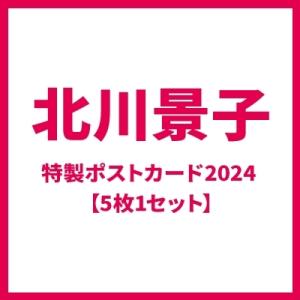 北川景子 特製ポストカード2024（5枚1セット）  〔Goods〕