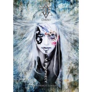 David / VI Prophecy 【Distribute Edition】  〔CD〕
