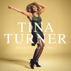 Tina Turner ティナターナー / Queen Of Rock N Roll (5枚組 / 180グラム重量盤レコード)  〔LP〕｜hmv