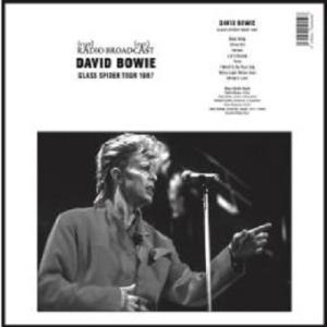David Bowie デヴィッドボウイ / Glass Spider Tour 1987 (アナロ...