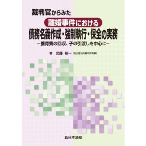 裁判官からみた 離婚事件における 債務名義作成・強制執行・保全の実務-養育費の回収、子の引渡しを中心に-