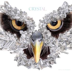 ミテイノハナシ / CRYSTAL. 【初回生産限定盤】(+別冊ブックレット)  〔CD〕