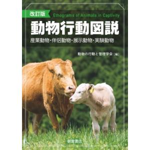 反芻動物 馬