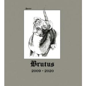 Specter / Brutus（2枚組アナログレコード）  〔LP〕