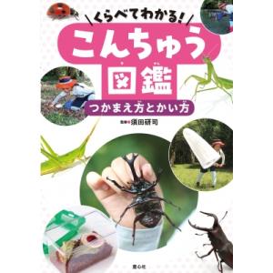 くらべてわかる!こんちゅう図鑑　つかまえ方とかい方 / 須田研司  〔本〕