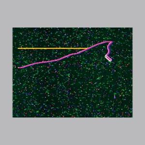Khotin / Alterac Acid  /  Mornings Ii (7インチシングルレコー...
