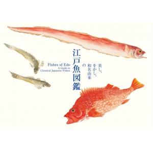 美し、をかし、和名由来の江戸魚図鑑 Fishes　of　Edo: A　Guide　to　Classical　Japanese　Fishes / 田島一彦  〔本〕｜hmv