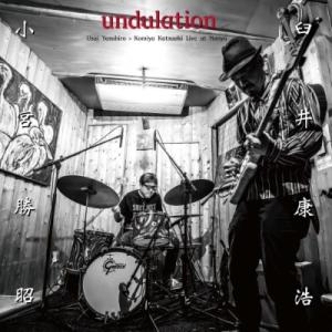 臼井康浩 / 小宮勝昭 / Undulation (アナログレコード)  〔LP〕｜hmv