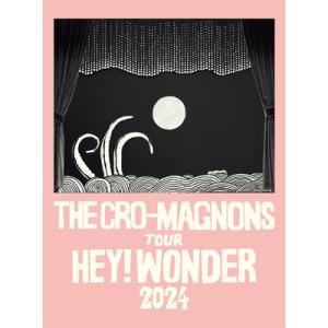 クロマニヨンズ　DVD付き 初回限定版　CD 28枚セット　ハイロウズ Cro-Magnon's クロマニヨンズ / ザ・クロマニヨンズ ツアー HEY