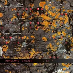 Monolake モノレイク / Studio (2枚組アナログレコード)  〔LP〕