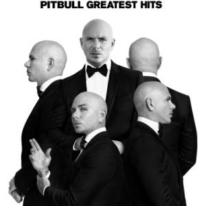 Pitbull ピットブル / Greatest Hits  〔LP〕