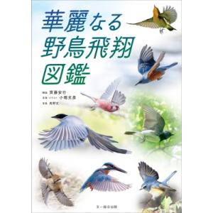 華麗なる野鳥飛翔図鑑 / 齊藤安行  〔本〕