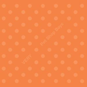 Pet Shop Boys ペットショップボーイズ / Very 国内盤