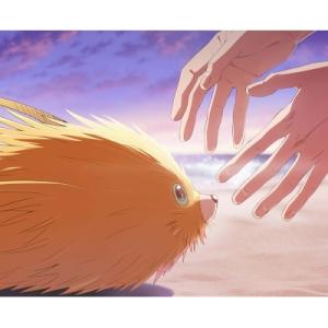ふれる。 DVD【完全生産限定版】  〔DVD〕