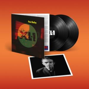 Pete Shelley / XI1 (2枚組アナログレコード)  〔LP〕