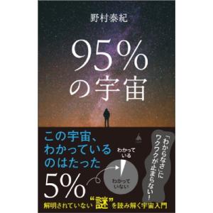 95%の宇宙 解明されていない謎を読み解く宇宙入門 SB新書 / 野村泰紀  〔新書〕