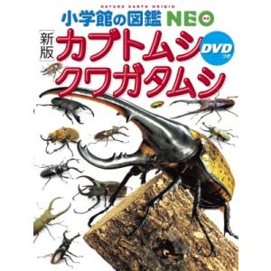新版 カブトムシ・クワガタムシ DVDつき 小学館の図鑑NEO / 小池啓一  〔図鑑〕