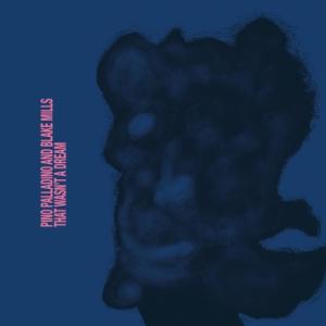 Pino Palladino / Blake Mills / That Wasn't A Dream...