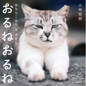 おるねおるね あちらこちら猫さがし / 小林哲朗  〔本〕