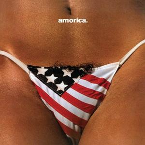 THE BLACK CROWES ブラッククロウズ / Amorica (2025 Reissue)...