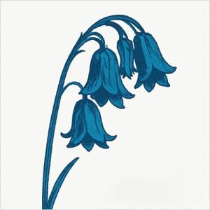 Bluebells / This Is The Bluebells 輸入盤 〔CD〕