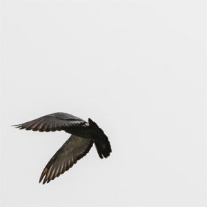 Lucid Fall / Elsewhere〜ここではないどこか  〔CD〕