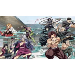 鬼滅の宴 -柱稽古編- DVD【完全生産限定版】 〔DVD〕