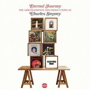 オムニバス(コンピレーション) / Eternal Journey - The Arrangemen...