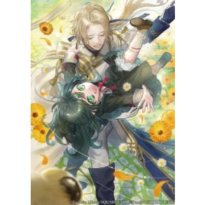 あなたのお城の小人さん -空を翔る配管工- 2 SQEXノベル / 美袋和仁  〔本〕