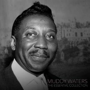 Muddy Waters マディウォーターズ / Essential Collection   〔L...