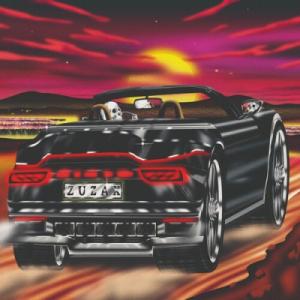 Damaged Bug / Zuzax  〔LP〕