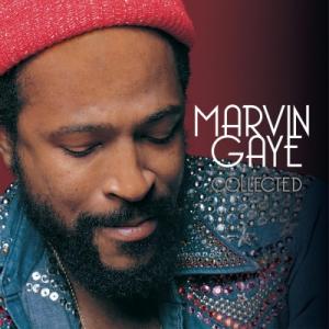 Marvin Gaye マービンゲイ / Collected (カラーヴァイナル仕様 / 2枚組 /...