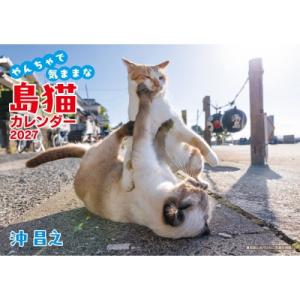 沖昌之 やんちゃで気ままな 島猫カレンダー 2027 / 沖昌之  〔ムック〕
